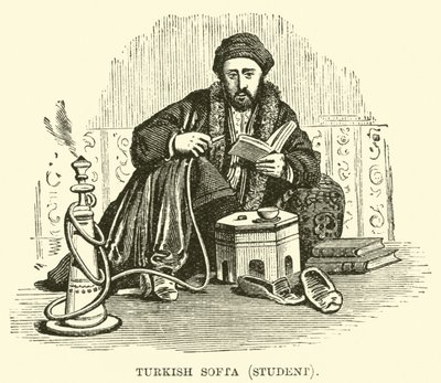Turecki Softa, student autorstwa English School
