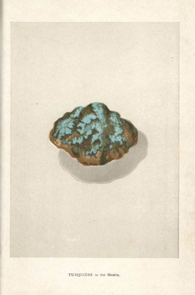 Turkus w matrycy, z „Precious Stones and Gems” Edwina Streetera, Londyn, George Bell & Sons autorstwa English School