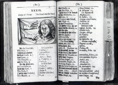Dwie strony z Orbis Sensual Pictus Comeniusa, 1659 autorstwa English School