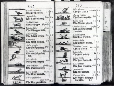 Dwie strony z Orbis Sensual Pictus Comeniusa, 1659 autorstwa English School