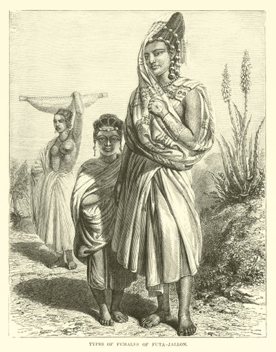 Rodzaje samic Futa-Jallon autorstwa English School