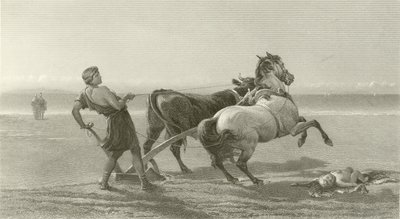 Ulisses orki brzeg morza (wklęsłodruk) autorstwa English School