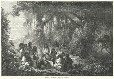 Górne Amazonki - Indianie przy posiłku (rycina) autorstwa English School