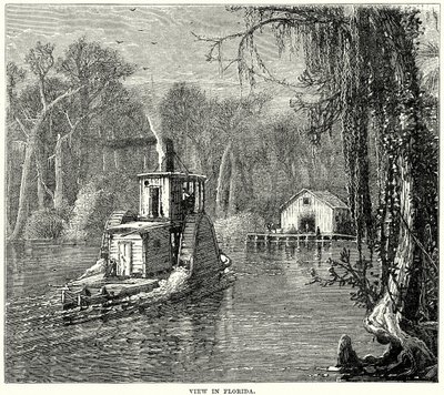 Widok na Florydę (grawerunek) autorstwa English School