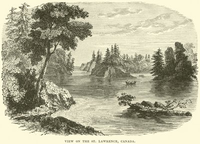 View on the St Lawrence, Canada  autorstwa English School