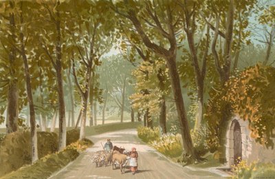 Vinchelez Lane – Jersey autorstwa English School