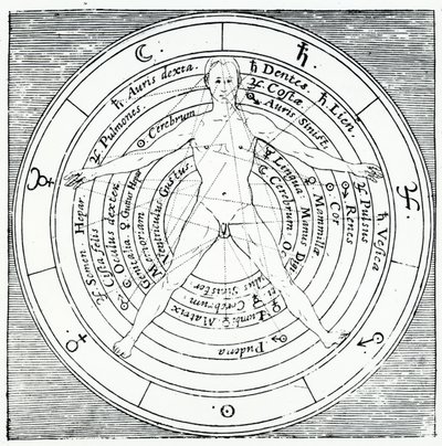 Figura witruwiańska, z "Utriusque Cosmi Historia" Roberta Fludda, wydana w 1617 r. (rycina) autorstwa English School