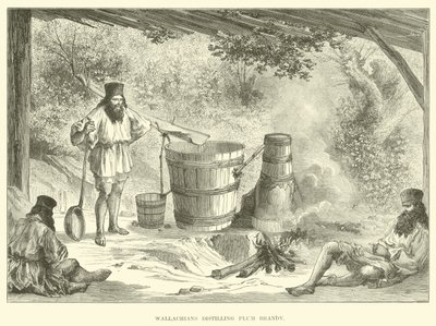 Wołosi destylują brandy śliwkowe autorstwa English School