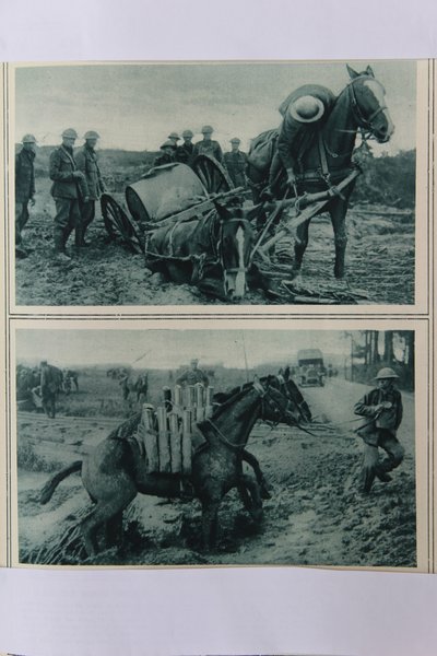 Konie wojenne tonące w błocie, północna Francja, sierpień 1917 autorstwa English School