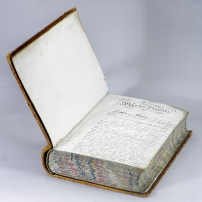 Rolka na medal Waterloo, ok. 1815 (pióro i atrament na papierze w objętości oprawionej w skórę) autorstwa English School