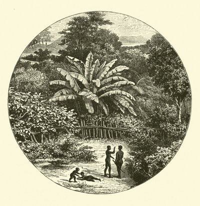 Afryka Zachodnia autorstwa English School