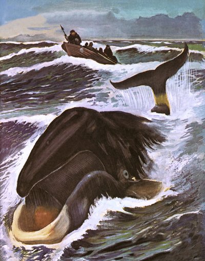 Polowanie na wieloryby autorstwa English School