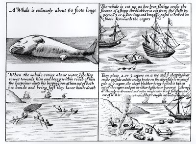 Wielorybnictwo na Spitzbergenie w 1611 r. autorstwa English School