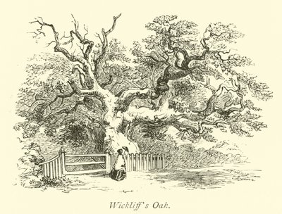 Wickliffs Oak  autorstwa English School