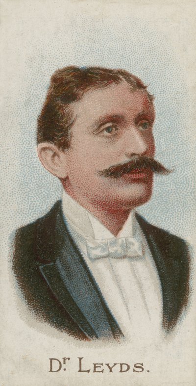 Willem Johannes Leyds, holenderski prawnik i mąż stanu autorstwa English School