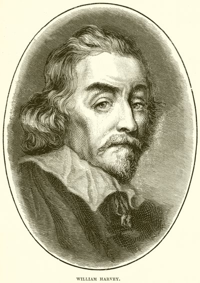 William Harvey autorstwa English School
