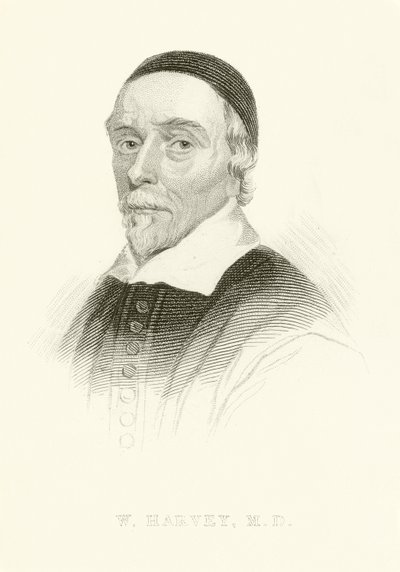 William Harvey autorstwa English School