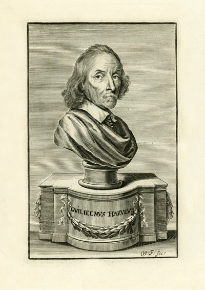 William Harvey autorstwa English School