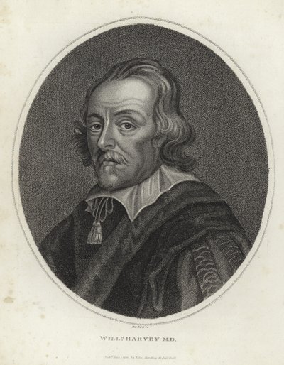 William Harvey autorstwa English School