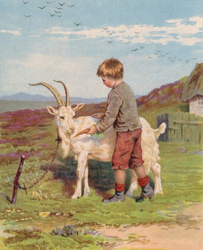 Młody chłopiec karmiący marchewką kozę na farmie (chromolitho) autorstwa English School
