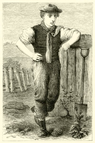 Młody ogrodnik (grafika) autorstwa English School