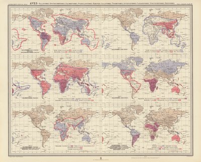 Zoogeografia: Aves, Ralliformes, Opisthocomiformes, Columbiformes, Pteroclidiformes, Hemipodii, Galliformes, Tinamiformes, Apterygiformes, Casuariiformes, Struthioniformes, Rheiformes (color litho) autorstwa English School