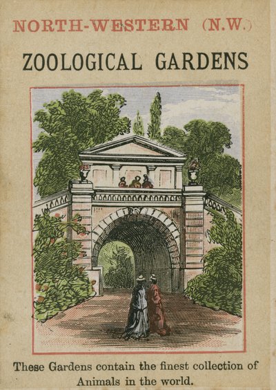 Ogrody Zoologiczne autorstwa English School