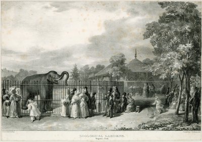 Ogrody Zoologiczne, Park Regents autorstwa English School