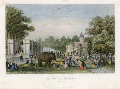 Ogrody Zoologiczne, Park Regents autorstwa English School