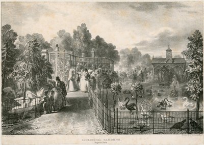 Ogrody Zoologiczne, Park Regents autorstwa English School