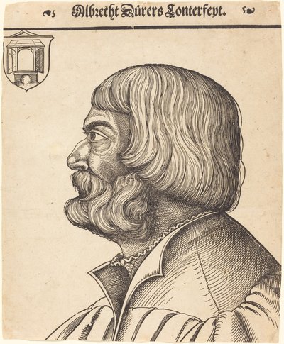 Albrecht Dürer w wieku pięćdziesiąt sześć lat autorstwa Erhard Schon