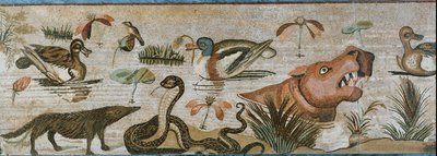 Zwierzęta wodne i inne autorstwa Erich Lessing