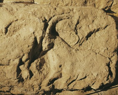  autorstwa Erich Lessing