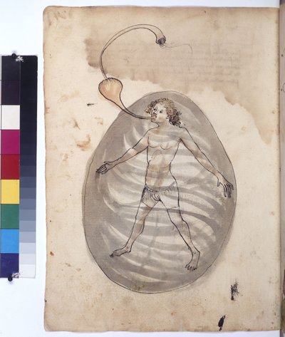 Cała strona: nurek, ok. 1430 r. (rysunek kolorowym piórem) autorstwa Erich Lessing