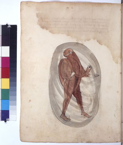 Cała strona: nurek w skafandrze, ok. 1430 r. (rysunek kolorowym piórem) autorstwa Erich Lessing