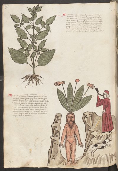  autorstwa Erich Lessing