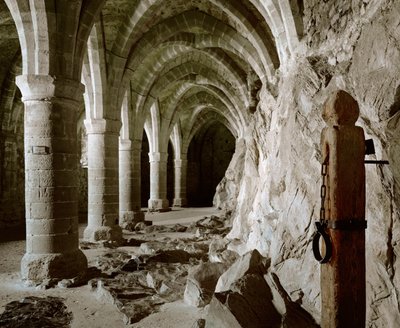 Gotyckie sklepienia piwnic, zamek, Chillon, Szwajcaria (zdjęcie ilustracyjne) autorstwa Erich Lessing