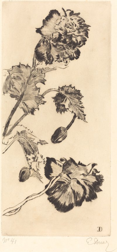Kwiaty (Fleurs) autorstwa Ernest Ange Duez