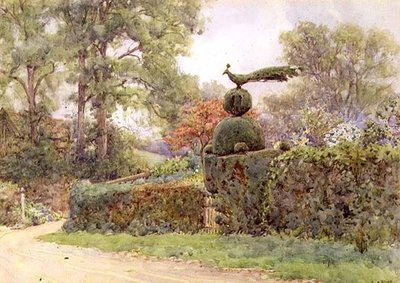 Stary żywopłot cisowy, Speldhurst, Kent (akwarela) autorstwa Ernest Arthur Rowe