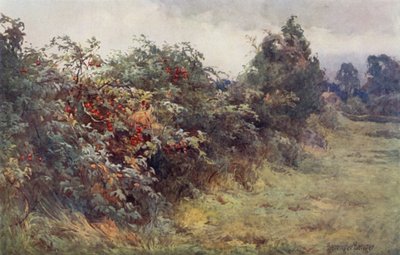 Objawienie dojrzałości autorstwa Ernest Benger or Berenger