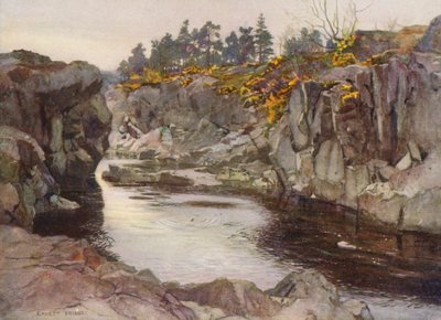 Wąwóz poniżej Linn (kolorowa litografia) autorstwa Ernest Edward Briggs