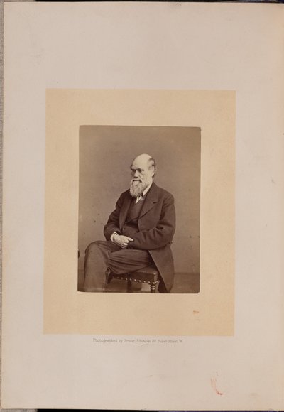 Charles Robert Darwin autorstwa Ernest H. Edwards