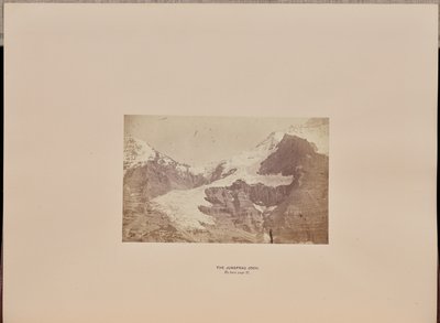 Jarzmo Dziewicy autorstwa Ernest H. Edwards
