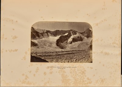 Nesthorn z lodowca Ober Aletsch autorstwa Ernest H. Edwards