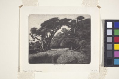Cyprysowa altana (mezzotinta) autorstwa Ernest Haskell
