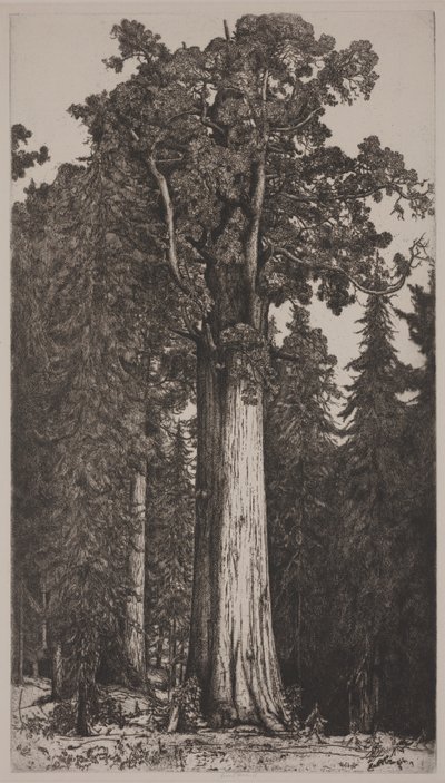 Generał Sherman autorstwa Ernest Haskell