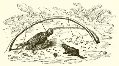Fowler i Lark autorstwa Ernest Henry Griset