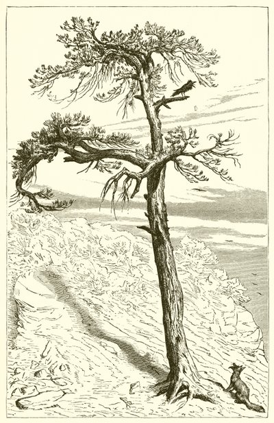 Lis i załoga autorstwa Ernest Henry Griset