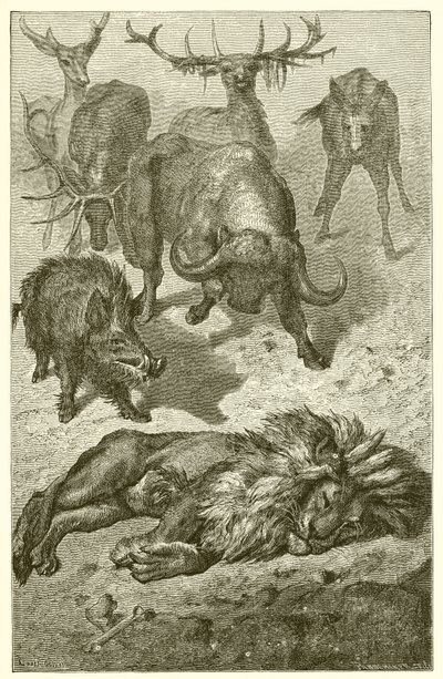Stary Lew autorstwa Ernest Henry Griset