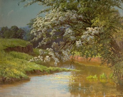 Kwiat Maja, 1910 autorstwa Ernest Owen Cooke